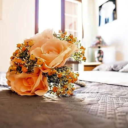Bed & Breakfast Laura Dolianova